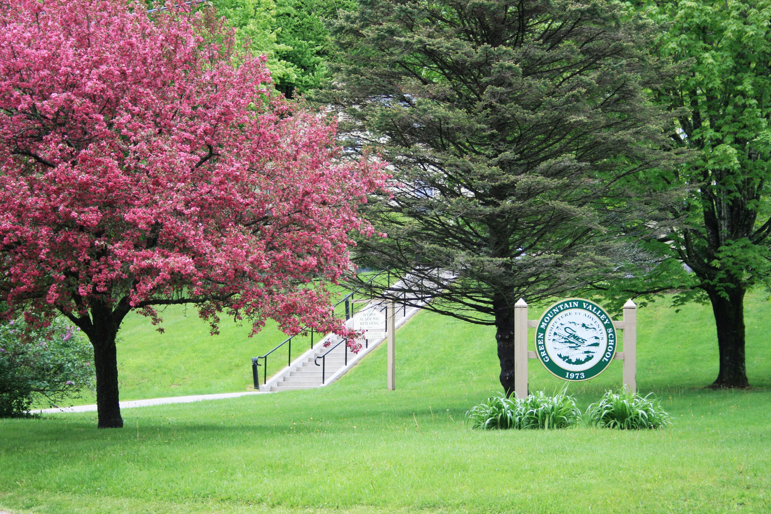 Celebrating The 2019 2020 School Year Green Mountain Valley School